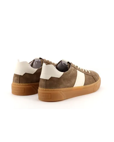 Nero Giardini Sneakers Taupe - Glamour Calzature