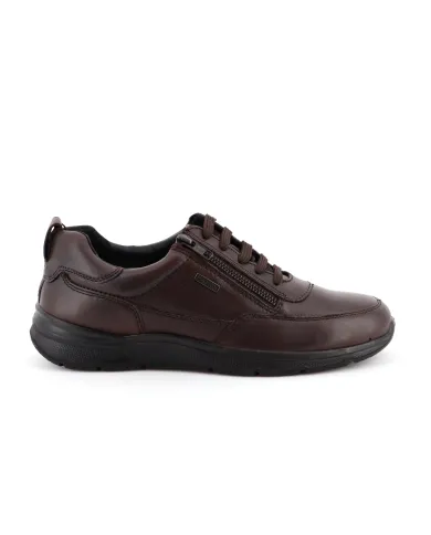 Cinzia Soft Sneakers T.Moro - Glamour Calzature