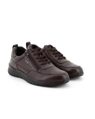 Cinzia Soft Sneakers T.Moro - Glamour Calzature
